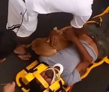 Vídeo do dia. Amigo FIEL – Ninguém fica pra trás
