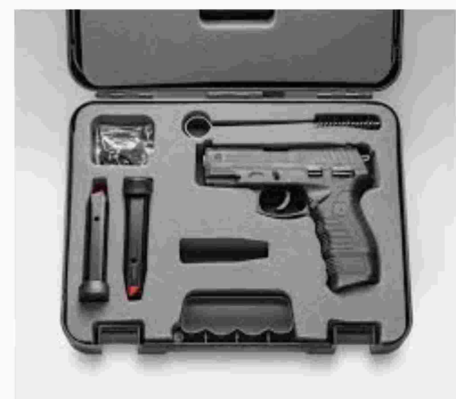 DECRETO posse de armas de FOGO. Completo