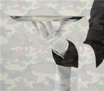 Almirantes, generais e brigadeiros NÃO PODEM usar militares para tarefas domésticas, diz defesa
