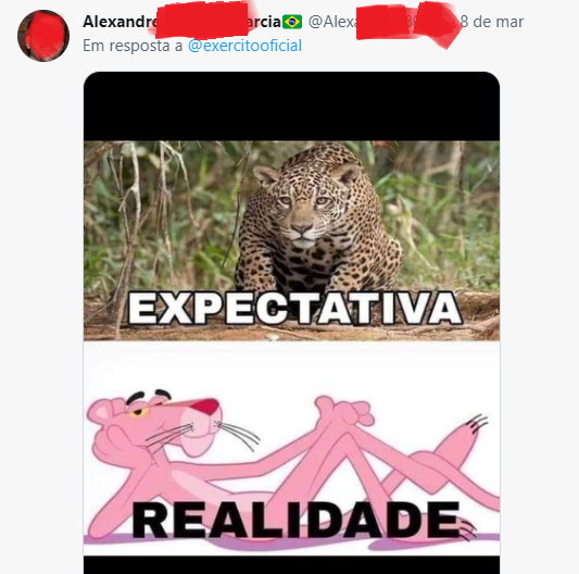 exercito onça e pantera