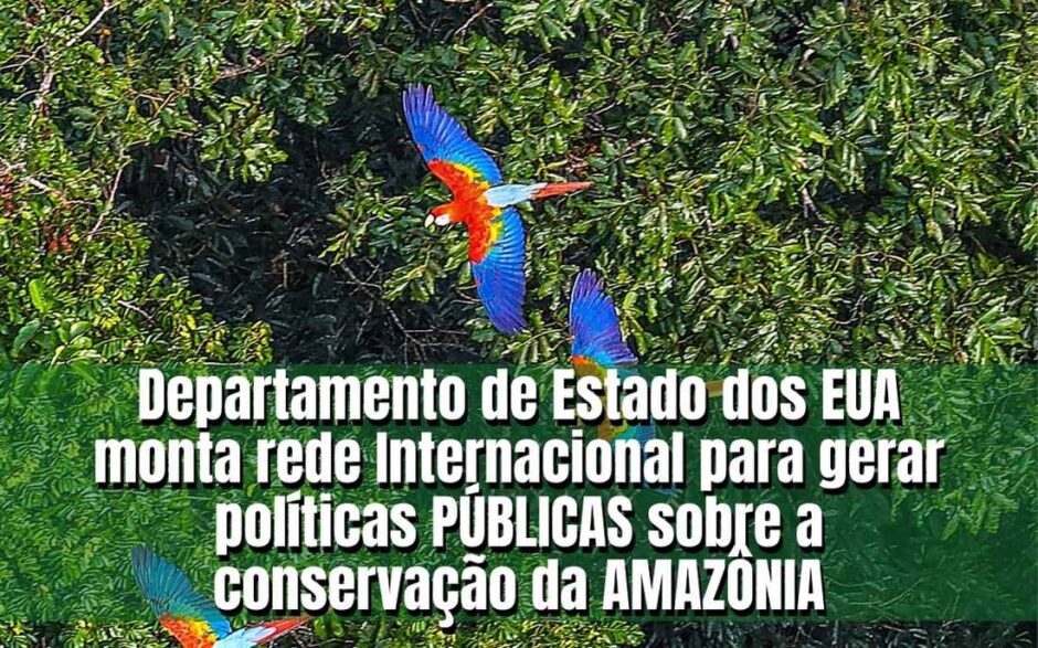 Governo dos Estados Unidos, de olho na Amazônia, desenvolve programa para preservar a floresta