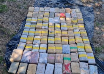 Comando Militar da Amazônia já soma 700 quilos de droga apreendidos no Estado