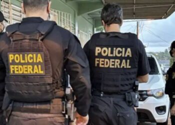 Desmantelado grupo neonazista responsável por massacre em escolas: Polícia Federal age contra o terrorismo