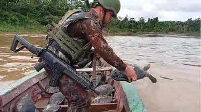 Exército Brasileiro resgata e liberta tartarugas em perigo de extinção