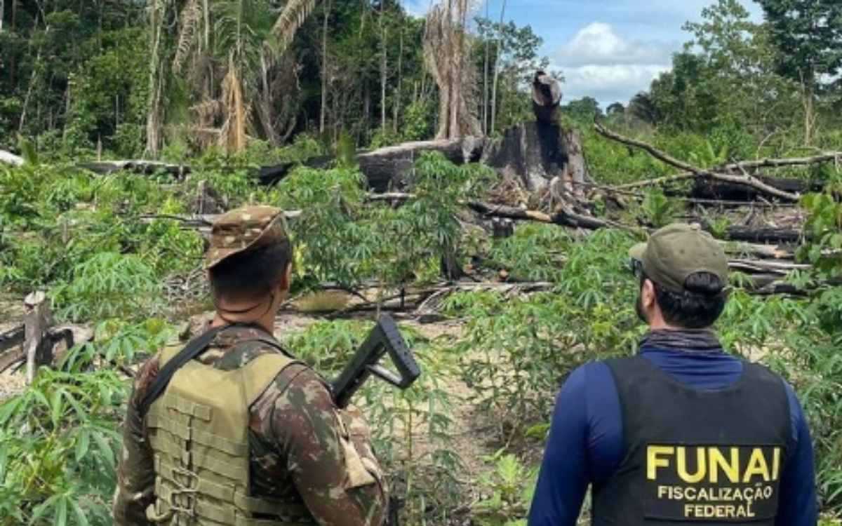 Exercito atua no combate contra a extração ilegal de madeira