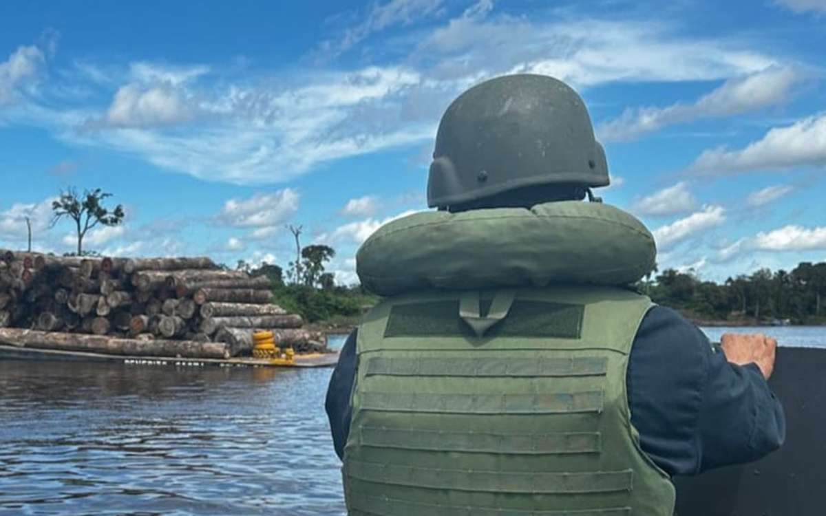 Marinha pode recuperar mais de R$ 1,1 milhão com apreensão de madeira ilegal. Confira o vídeo da operação