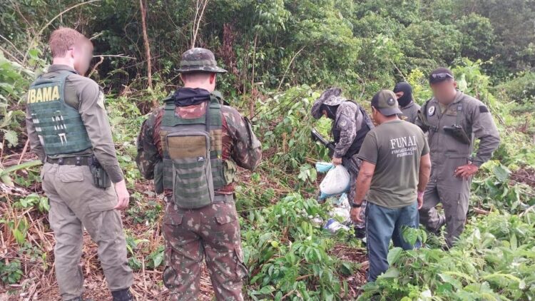 Exército Brasileiro realiza Operação Catrimani II. Foto: Divulgação / EB