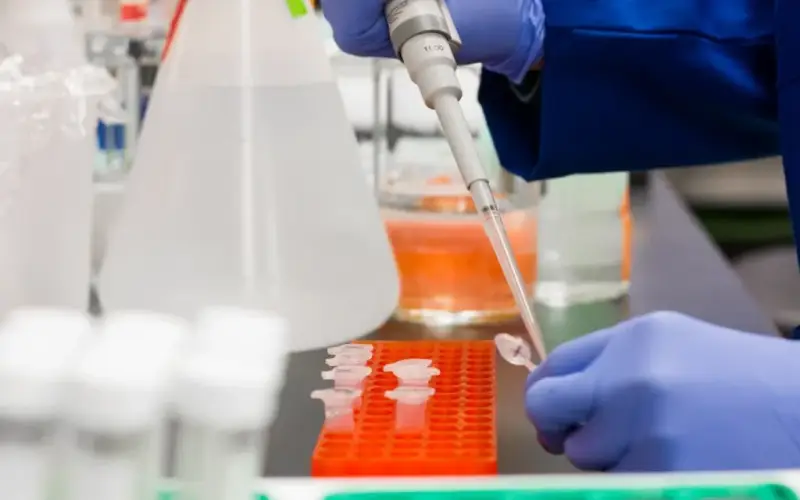 Tragédia atômica: cientistas revelam níveis alarmantes de plutônio em Los Alamos nos EUA , semelhantes aos de Chernobyl