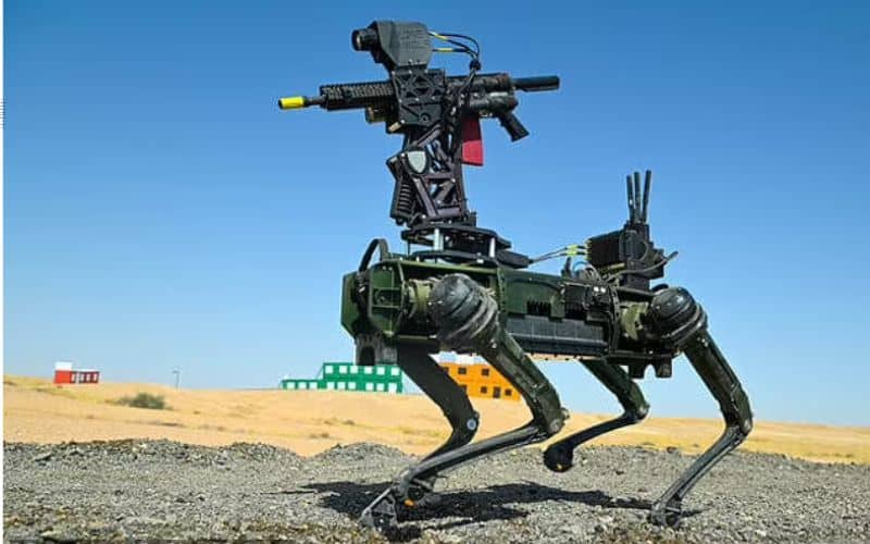 Conheça o “Lobo Solitário”: Cão-robô do Exército dos EUA equipado com rifle AR-15/M16 e controlado por IA  participa de exercícios militares na Arábia Saudita