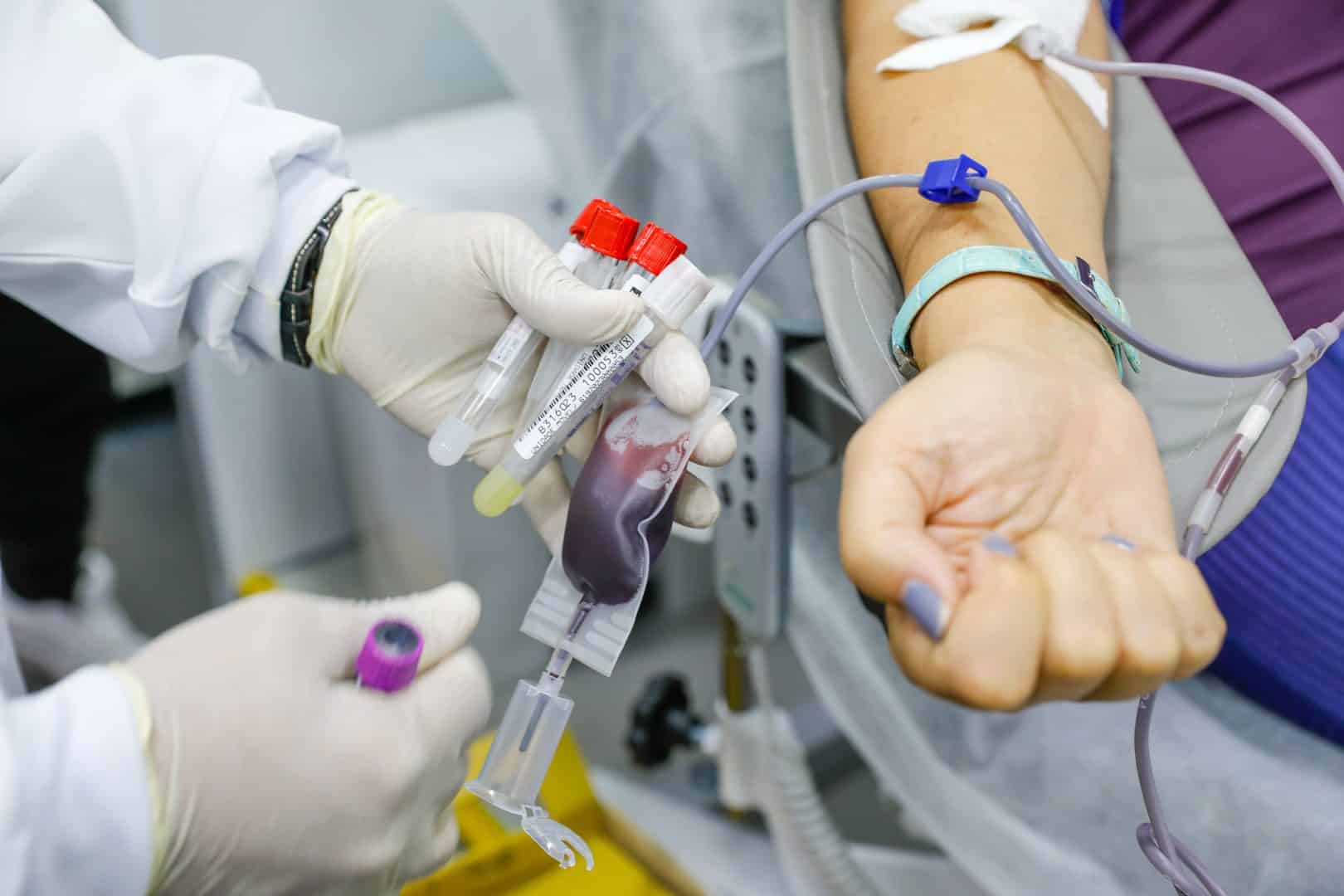 Hemocentro abre mais de 300 vagas para profissionais de nível médio e superior com salários que chegam a R$ 6.387,13: veja como participar da seleção