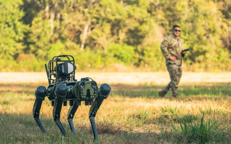 Cães-robôs armados: EUA, Rússia e China transformam máquinas em armas de guerra