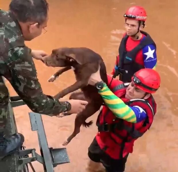 Picos submersa: o Exército Brasileiro no resgate de uma cidade à mercê da ineficiência pública no Piauí.