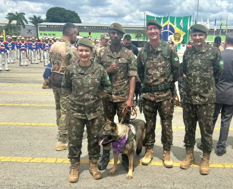 Cães policiais aposentados ganham homenagem.