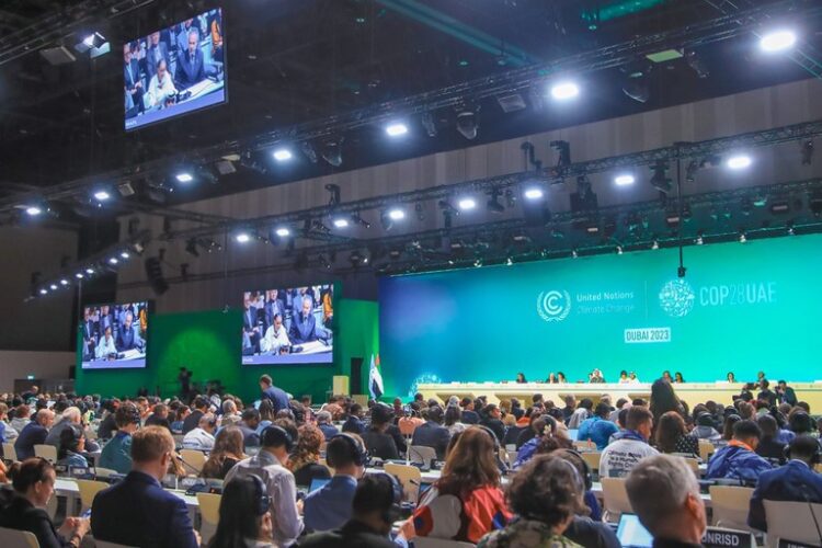 COP30 sob fogo cruzado: evento climático acelera destruição da Amazônia.
