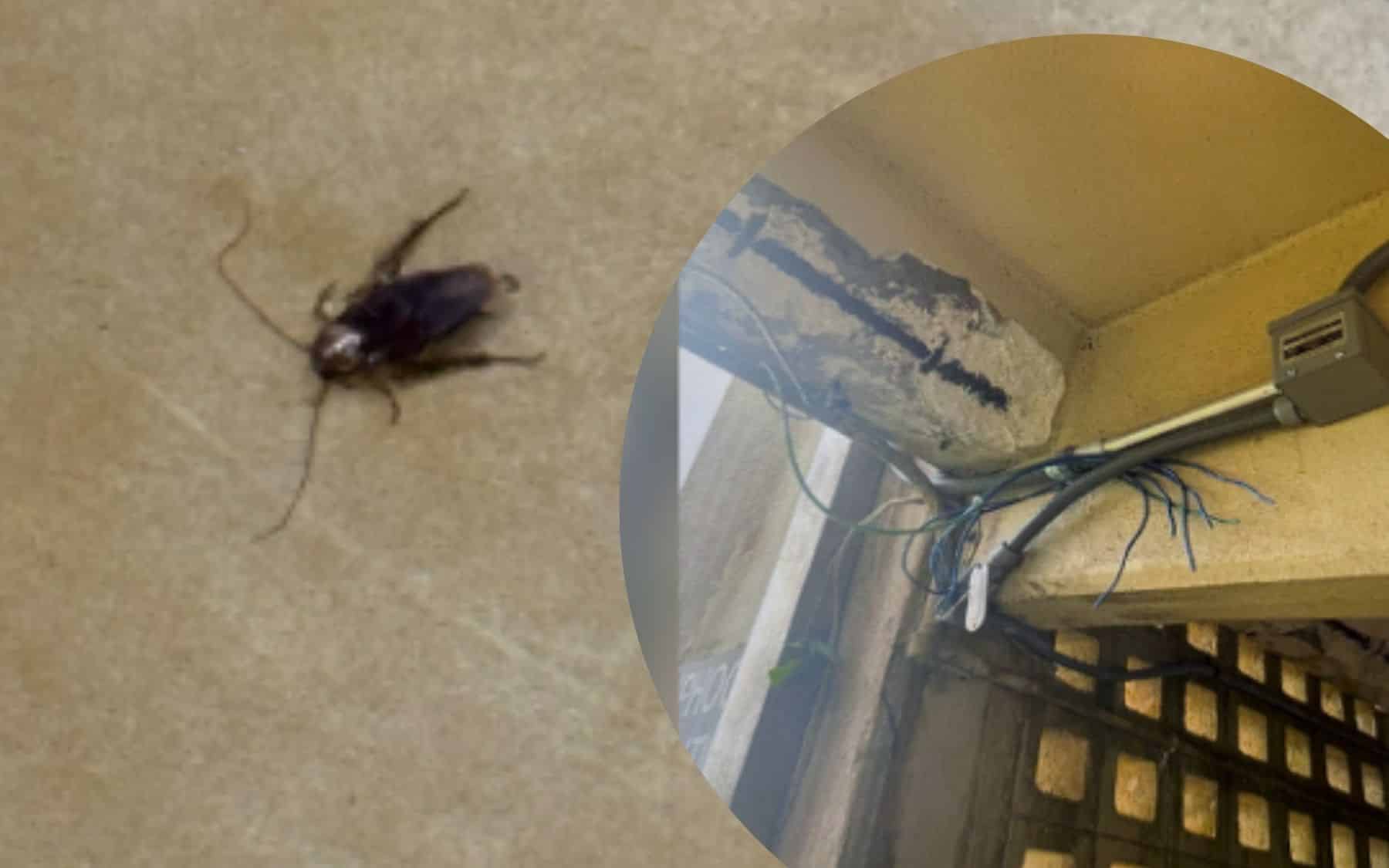 Chocado com o estado dos alojamentos nos quartéis dos EUA!: péssimas condições para os soldados geram reação dura do Secretário da Marinha dos EUA